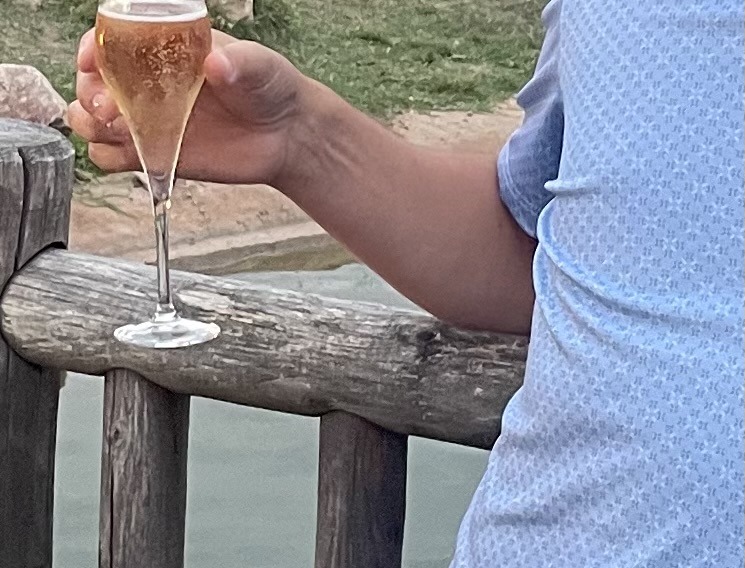 Profil de Cesare, 50 ans, Gay Canada à Wadena