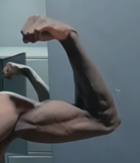 Profil de Ariste, 21 ans, Gay Canada à Frontier
