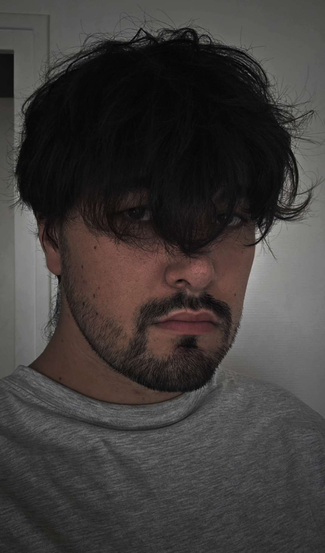 Profil de Assaf, 27 ans, Gay Canada à Saint-Eustache